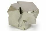 Shiny, Natural Pyrite Cube Cluster - Navajun, Spain #347332-1